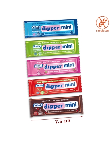 Tarro Mini Dippers Surtidos 250uds Vidal Golosinas