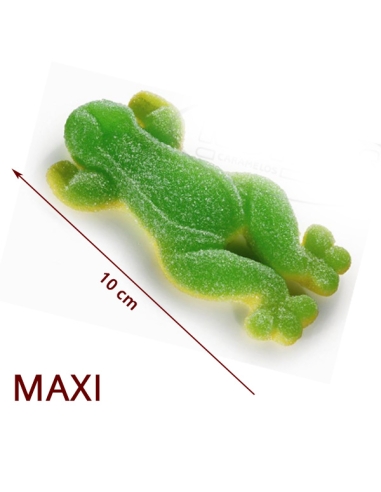 Maxi Ranas 1Kg De Roypas